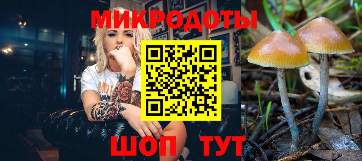 Галлюциногенные грибы Psilocybe  Вход с VPN  Зеленогорск 
